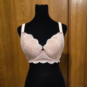 Camio Mio Lace Bra in Apricot - 34DDD